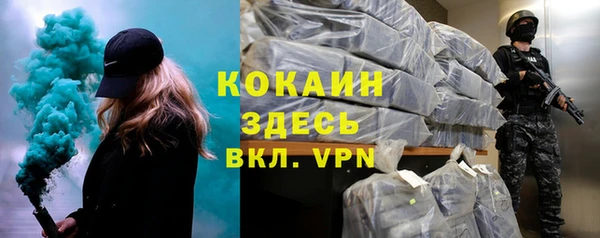 твердый Алексеевка