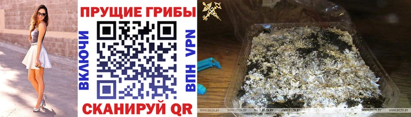 Псилоцибиновые грибы Psilocybe  маркетплейс состав  Каменск-Шахтинский  даркнет сайт 